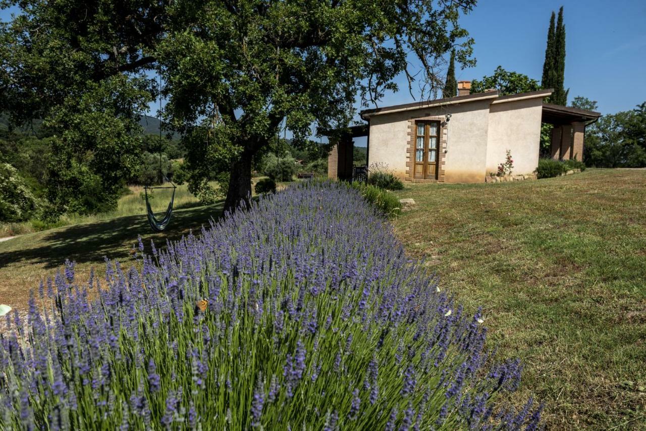Agriturismo Belvedere Di Pierini E Brugi Campagnatico Экстерьер фото
